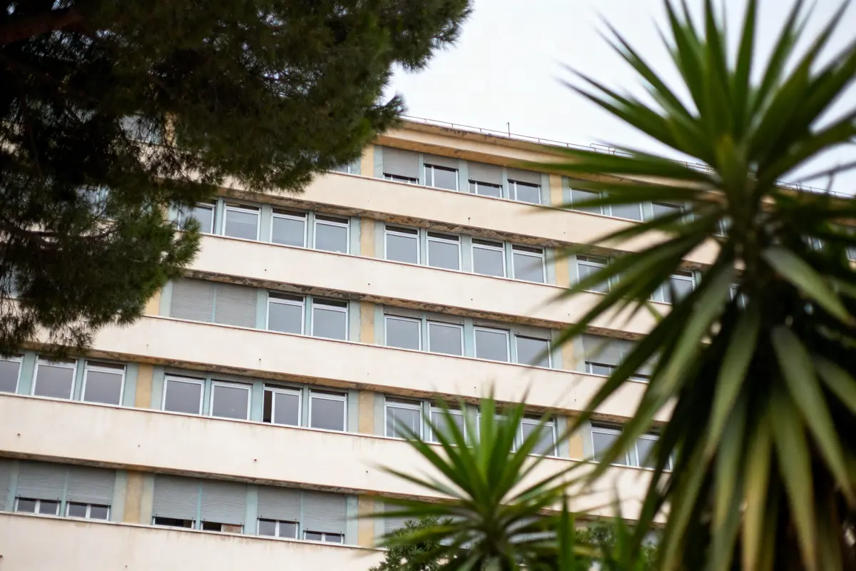 Bâtiment beige avec rangées de fenêtres, entouré d'arbres et de palmiers verts, ciel clair.